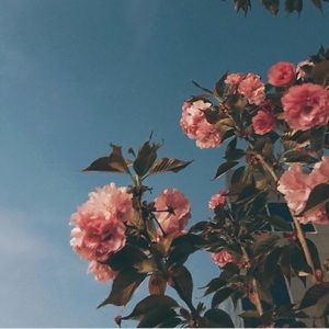 Meet your Posher, Alanna